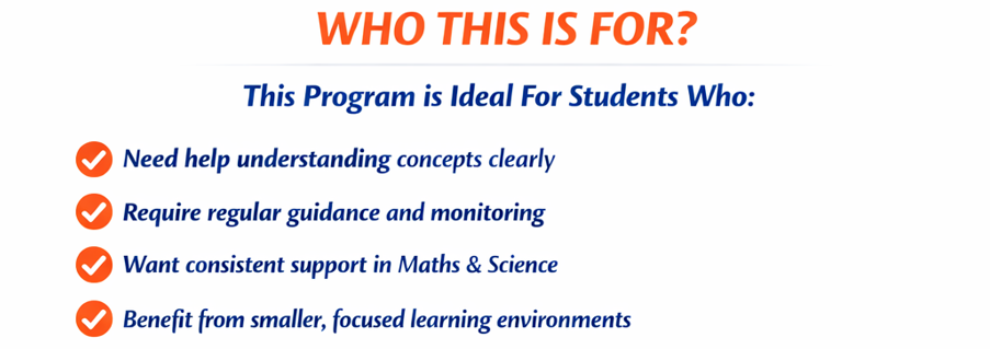 Academic Excellence Program - specially designed online tuition 